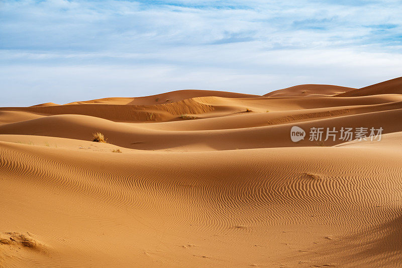 巨大的橙色沙状沙丘和多云的天空在Merzouga沙漠，摩洛哥。