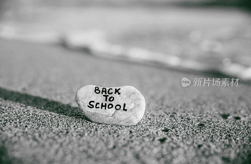 在海滩的石头上发短信回学校