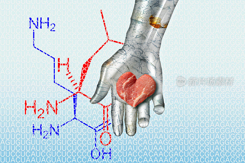 心形的人造肉被放置在金属机器人的手掌上。背景为mRNA编码、氨基酸化学式和浅蓝色级配。