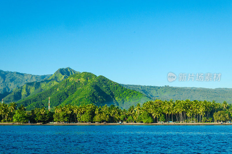 清晨的阳光下，巴厘岛海岸上的棕榈树