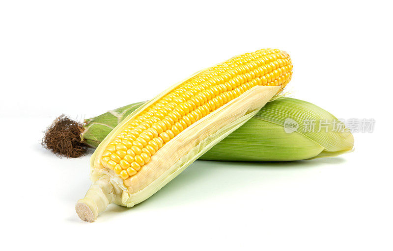 白色背景上的玉米