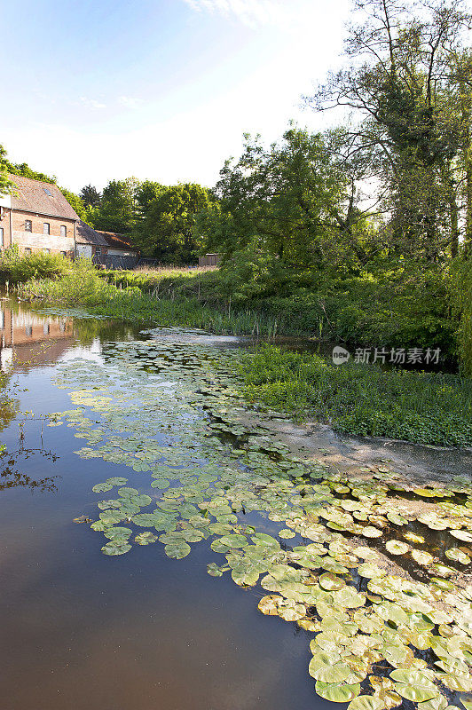 磨坊溪和面粉磨坊林地散步，多塞特，英格兰，英国