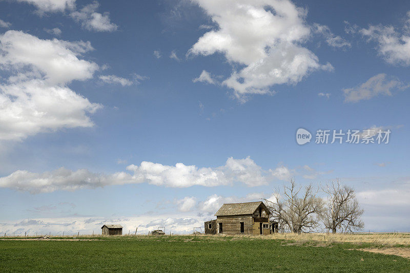 被遗弃的农场宅地附近的格罗弗科罗拉多州波尼国家草原草原