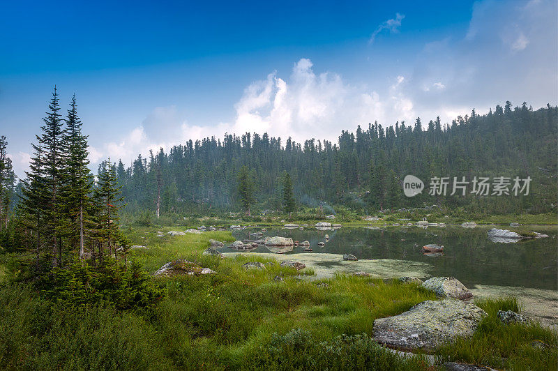 针叶林。西伯利亚。清晨湖面上的山景。