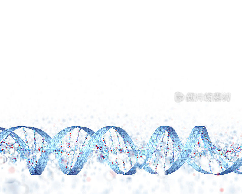 数字DNA概念拷贝空间白色背景