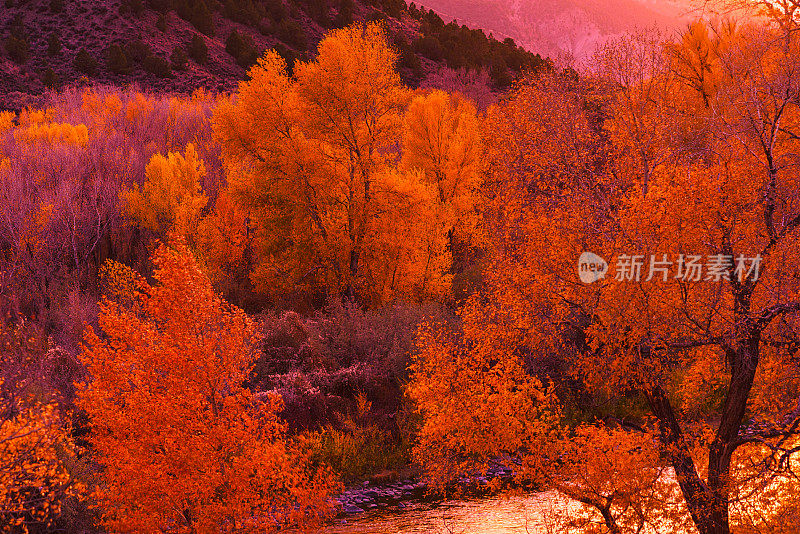 秋鹰河风景区