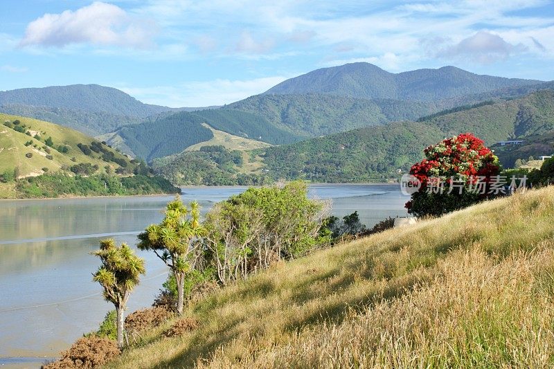 Wakapuaka河口海景，电缆湾，纳尔逊，新西兰