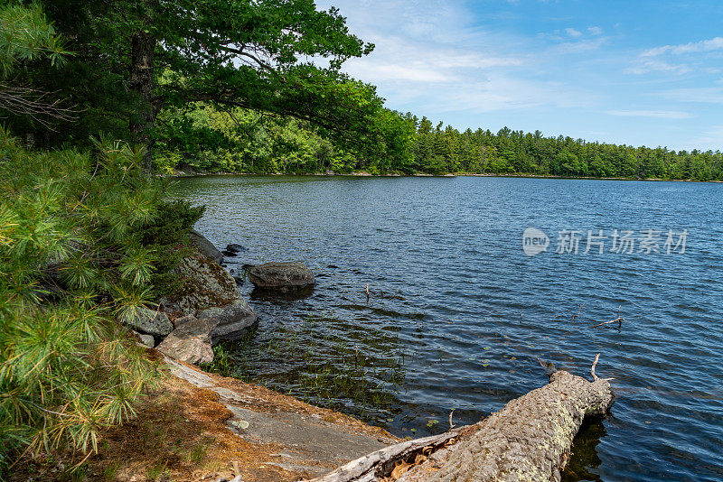 哈迪湖省级公园在169公路马斯科卡湖，托伦斯，加拿大