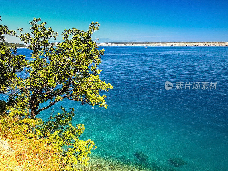 绿松石亚得里亚海