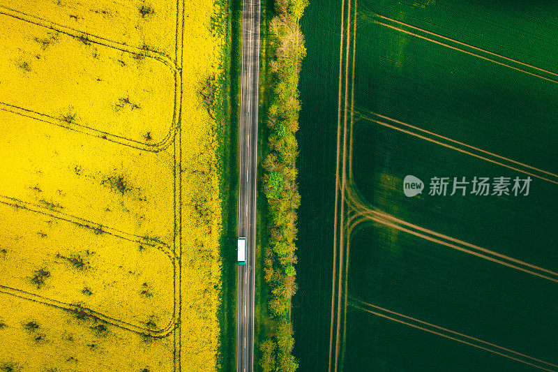 春天农田间的公路