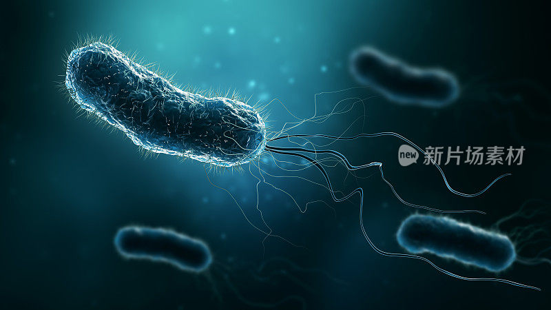 蓝色背景上的大肠杆菌、幽门螺杆菌、沙门氏菌等细菌群三维渲染图。微生物学、医学、生物学、科学、保健、医学、感染概念。