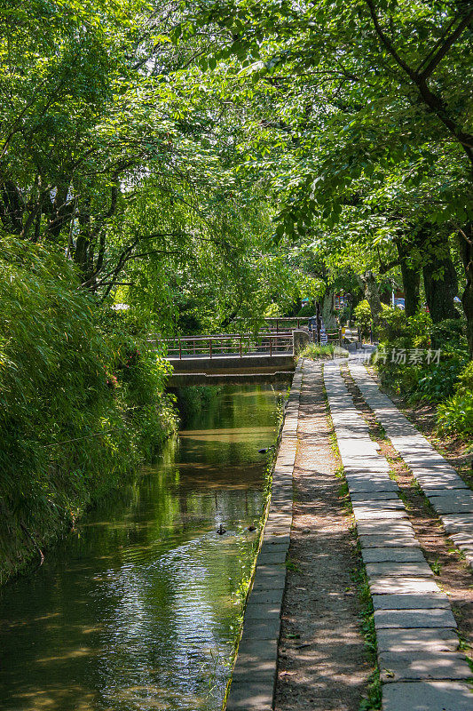 “哲学家之路”是京都运河旁的一条步行小径