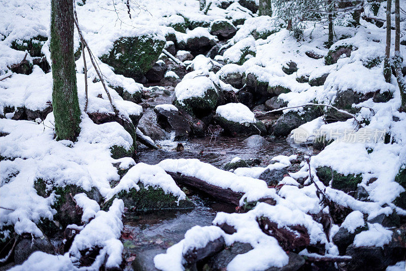 小溪从雪堆中流过。冬天的森林景观。
