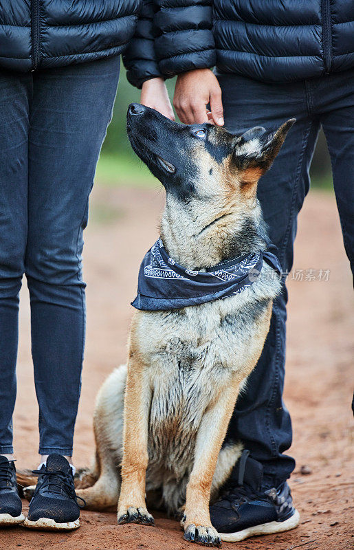 一名男子和他可爱的德国牧羊犬在公园里共度美好时光