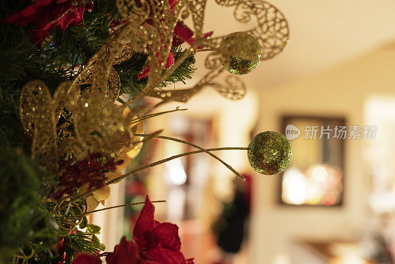 圣诞节装饰的一个房子的客厅