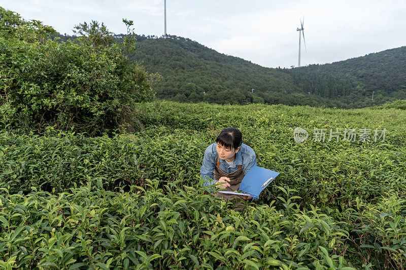 一位亚洲女性农场工人在植物园观察植物