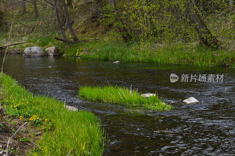 美丽的河流景观，岸边绿草如茵，巨石纵横，水流湍急。