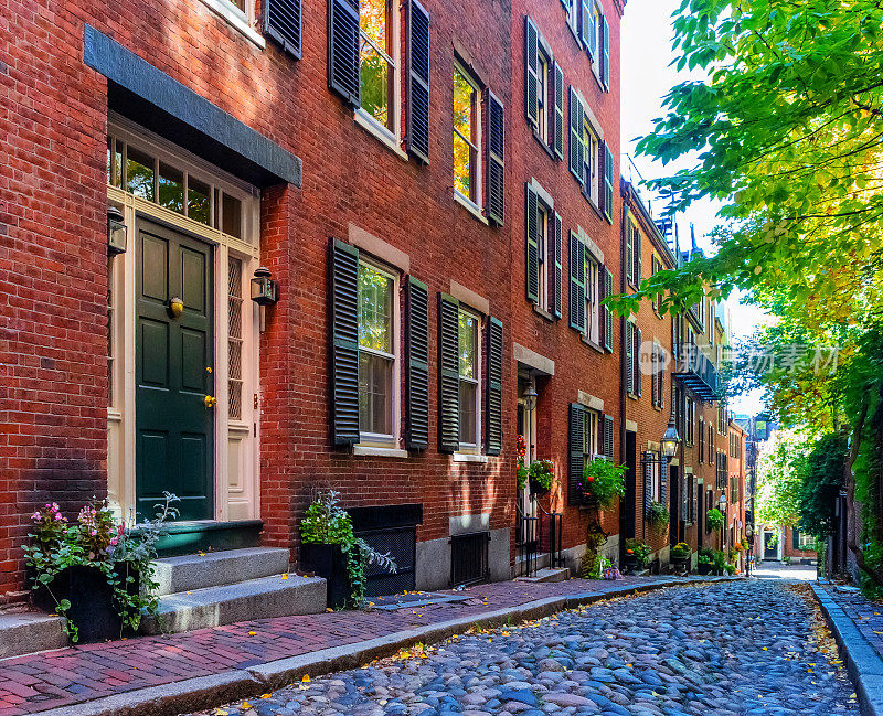 晴朗秋日的橡果街——比肯山——马萨诸塞州波士顿