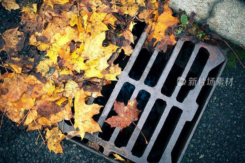 雨水渠部分被秋叶堵塞，可能导致当地道路和住宅水浸