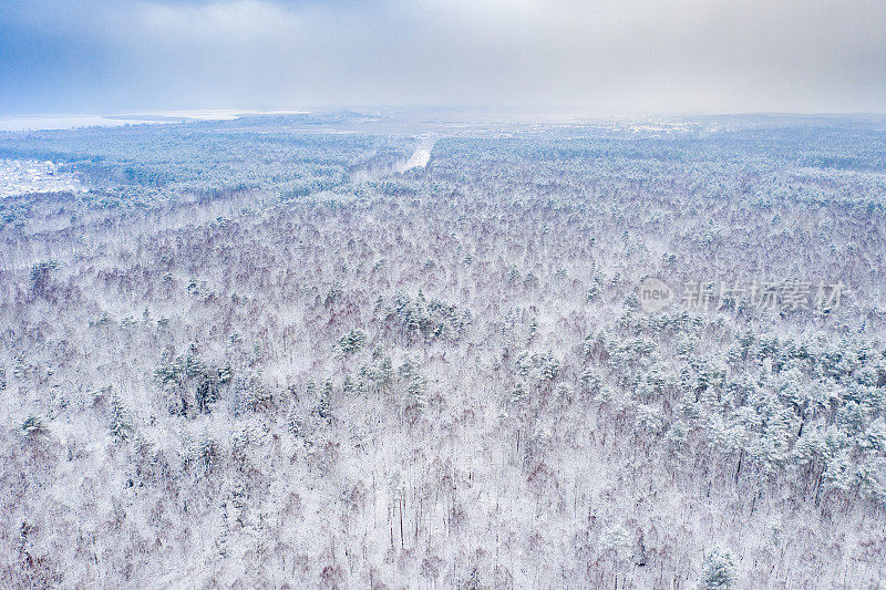 覆盖着雪的混交林鸟瞰图。