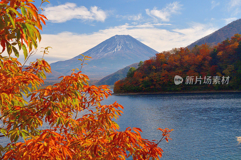 富士五湖秋叶色:元土湖