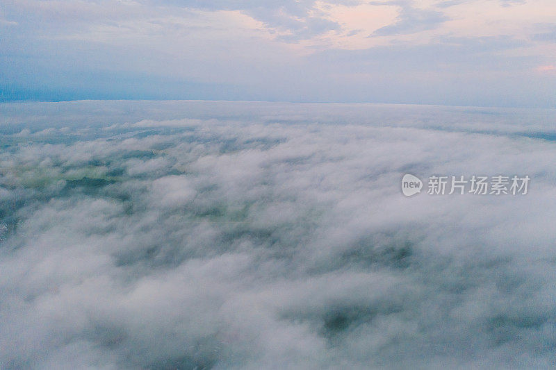 雾笼罩的森林鸟瞰图。森林。春天。字段。多雾的早晨。无人机摄影。