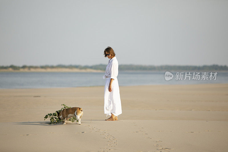 年轻的成年女子和她的法国斗牛犬在海滩上散步