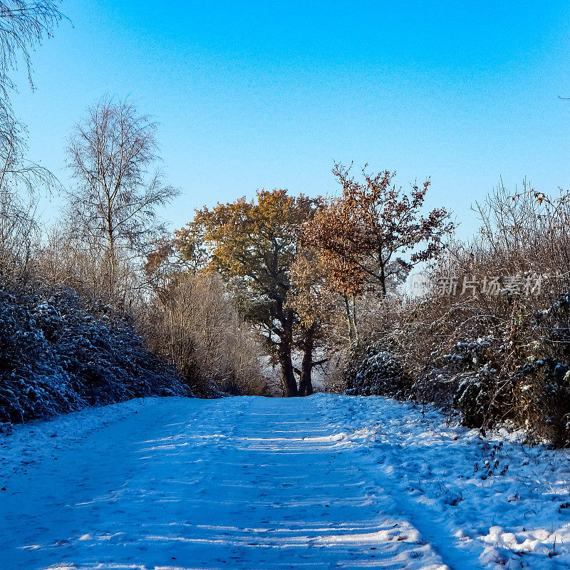 德国北部冬季风景摄影