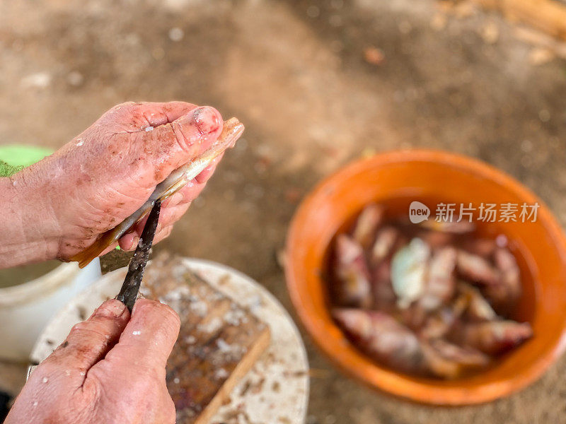 老人的手在洗鱼