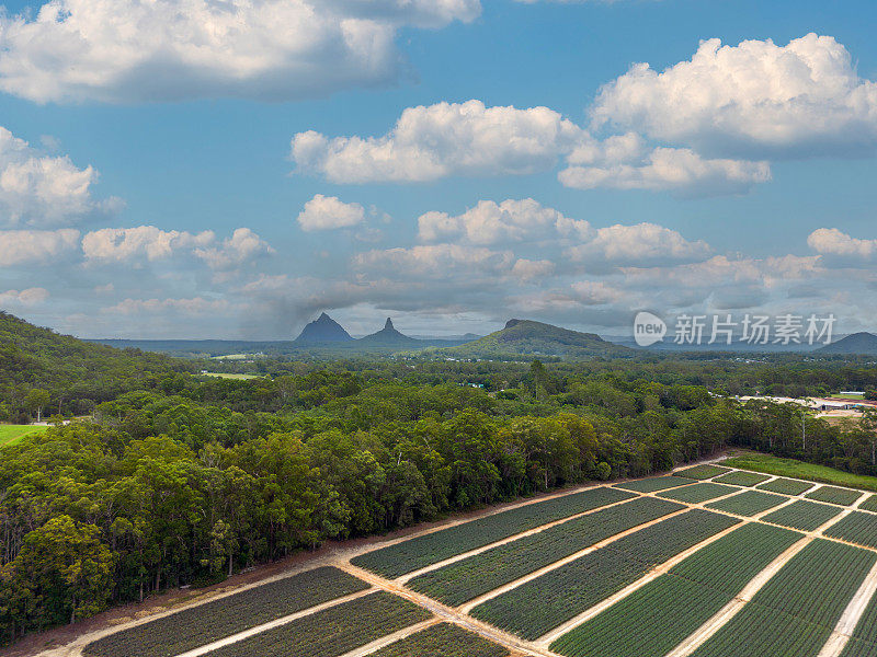 农田和玻璃屋山，阳光海岸，昆士兰，澳大利亚