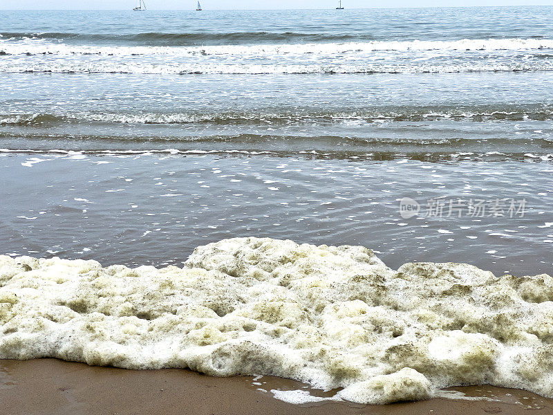 北海海滩上的海藻