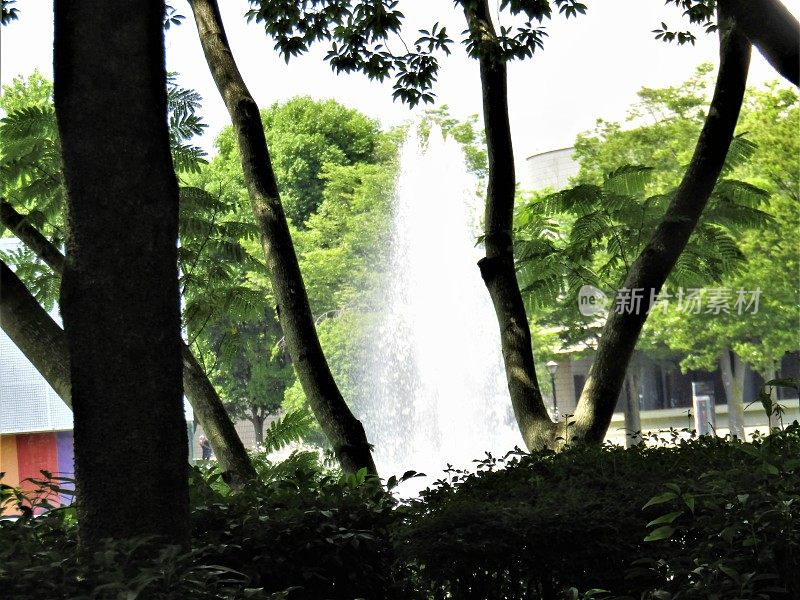 日本。筑波科学城。