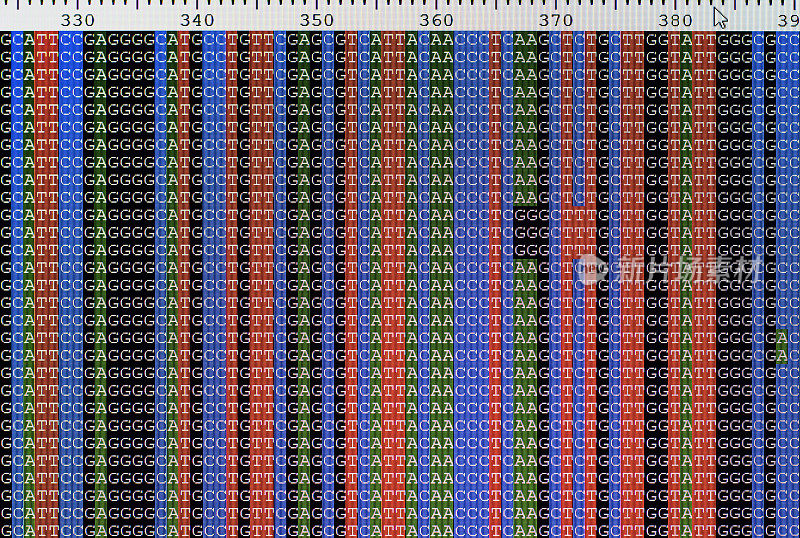 排列的DNA序列显示在液晶电脑屏幕上。