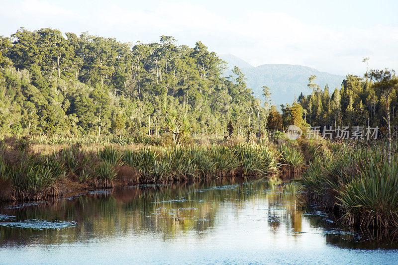 湖Māhinapua湿地自然保护区，靠近霍基蒂卡，韦斯特兰国家公园，新西兰