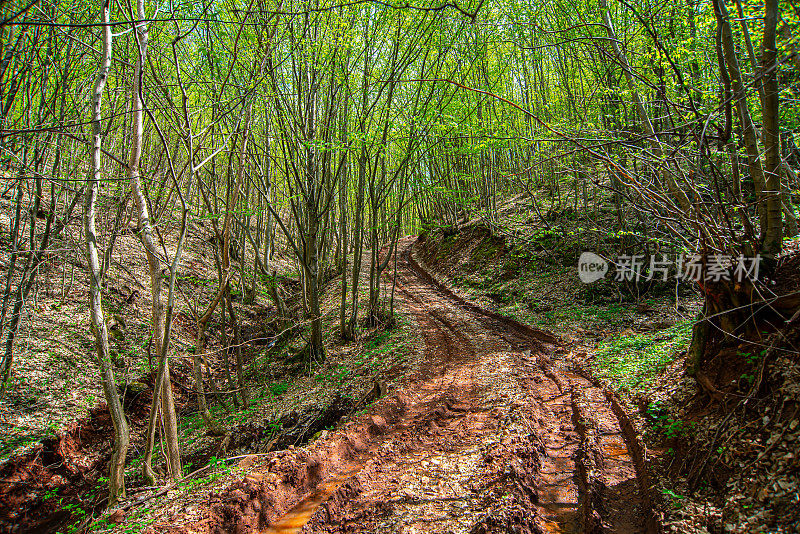 塞尔维亚南部美丽的春景。苏瓦平原山