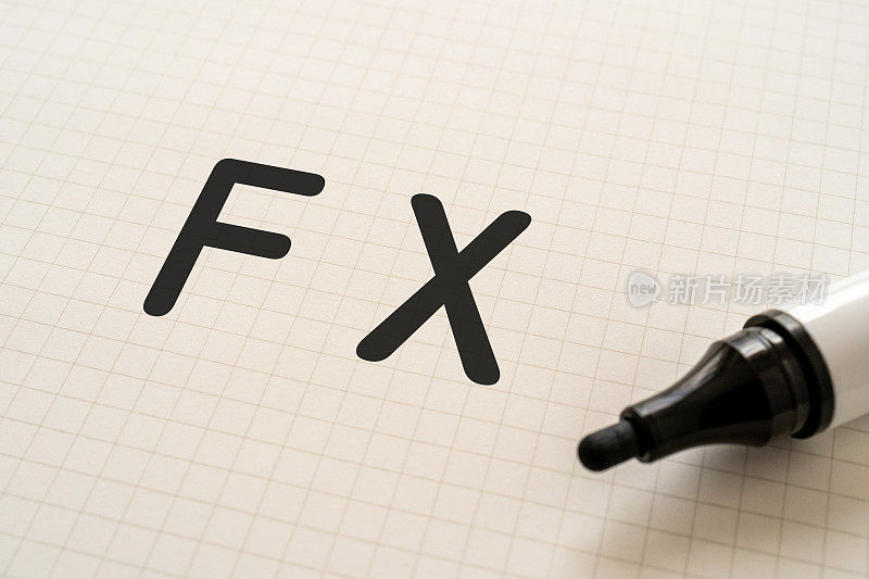 用记号笔写着“FX”的白皮书。