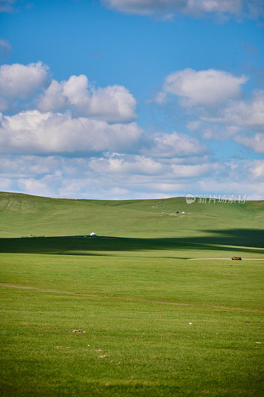 内蒙古呼伦贝尔草原，围篱草原