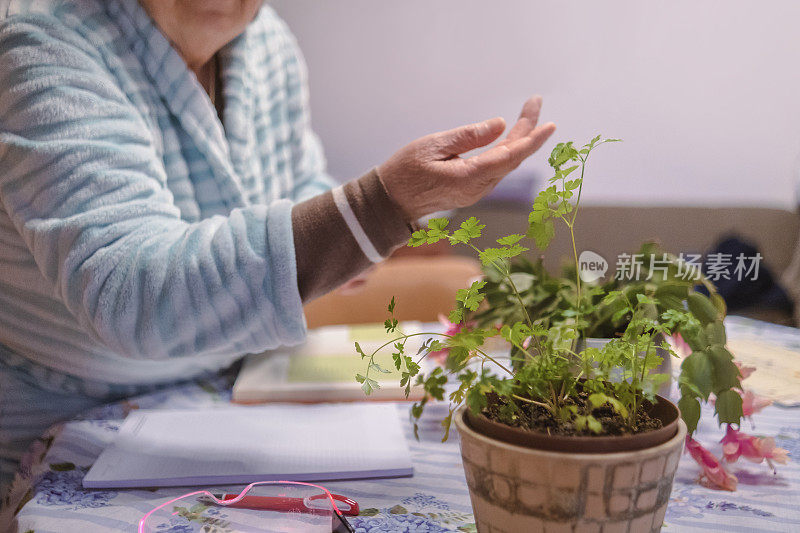 我漂亮的室内植物需要浇水了