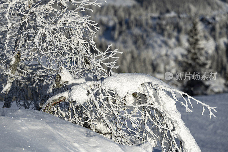 从滑雪坡在Kvitfjell高山滑雪胜地在挪威