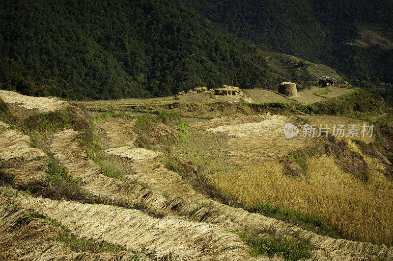 梯田景观，不丹