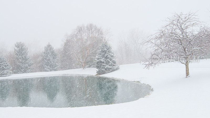 雪中的小湖，印第安纳州霍华德县