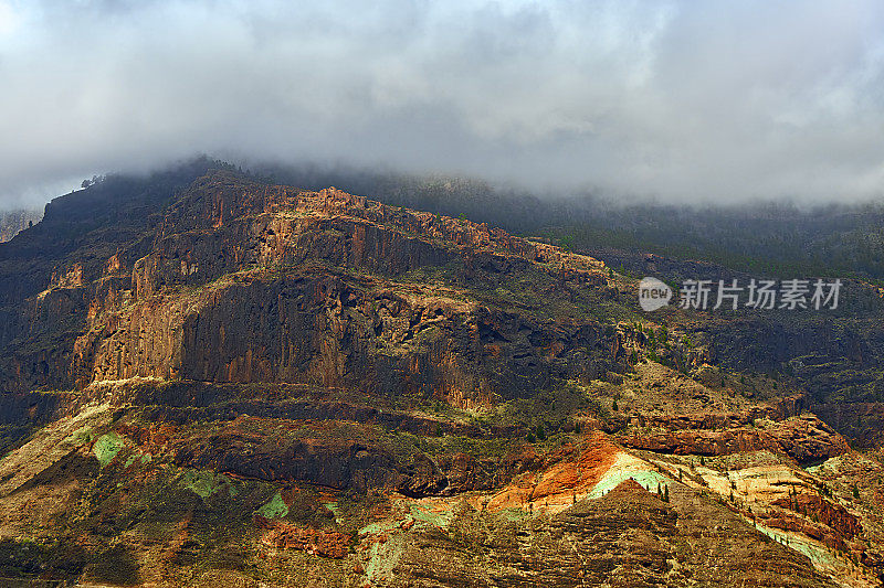 大加那利岛