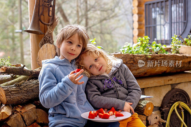 孩子们，孩子们，在户外吃草莓