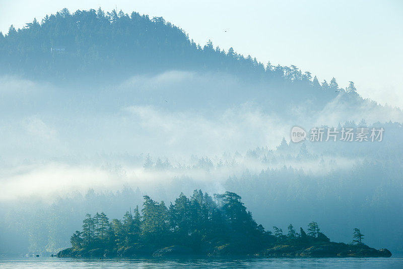 不列颠哥伦比亚省温哥华岛