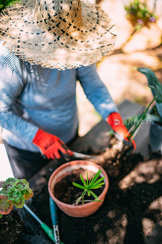 在花园里照料植物的女人