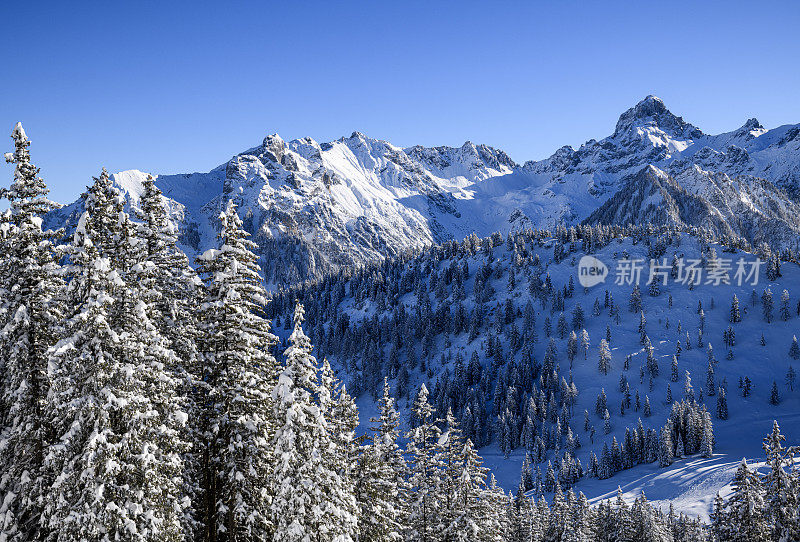 白雪皑皑的树木和群山