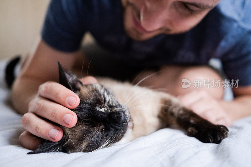 男人爱他的猫抚摸他