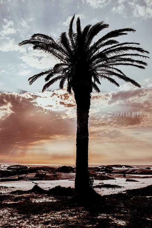 南非开普敦附近的坎普斯湾的日落