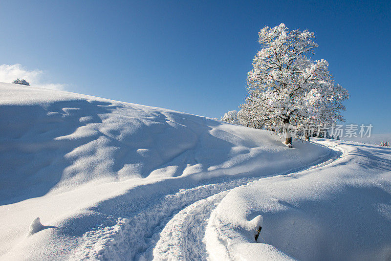 冬天的风景有一条白雪覆盖的山路