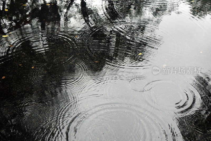 雨滴在水塘泛起涟漪